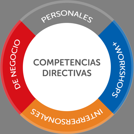 Competencias Directivas